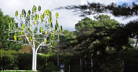 গাছের দাম ২৮ লাখ টাকা