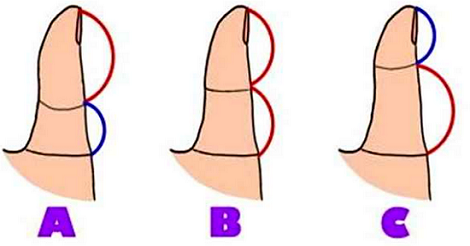 কী বলে আপনার হাতের বুড়ো আঙুল আপনার ব্যক্তিত্ব সম্পর্কে