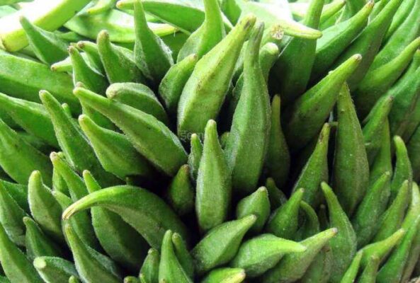 কোন সব অসুখে ঢেঁড়স ঔষধের মতো কাজ করে।