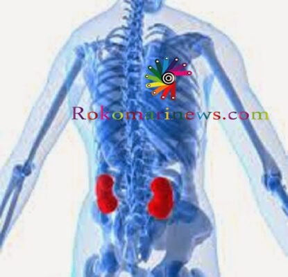 কিডনি বাঁচানোর নিয়ম।