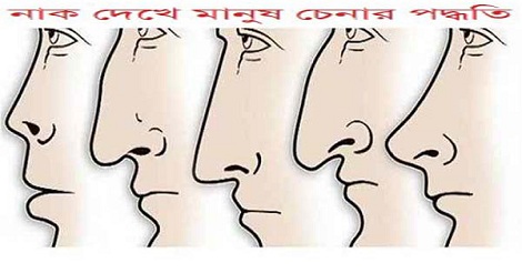 নাক দেখে মানুষ চেনার পদ্ধতি