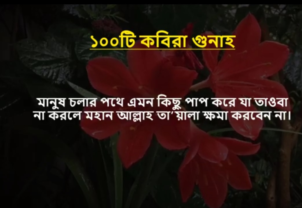 আসুন ১০০ টি কবিরা গুনাহ সম্পর্কে জেনে নেই