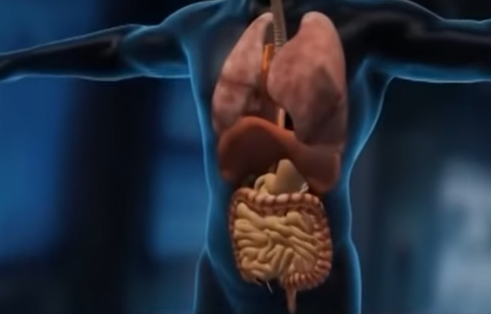 বদলে ফেলুন রাতজাগার বদঅভ্যাস রাত জাগার কারণে ক্যান্সারও হতে পারে